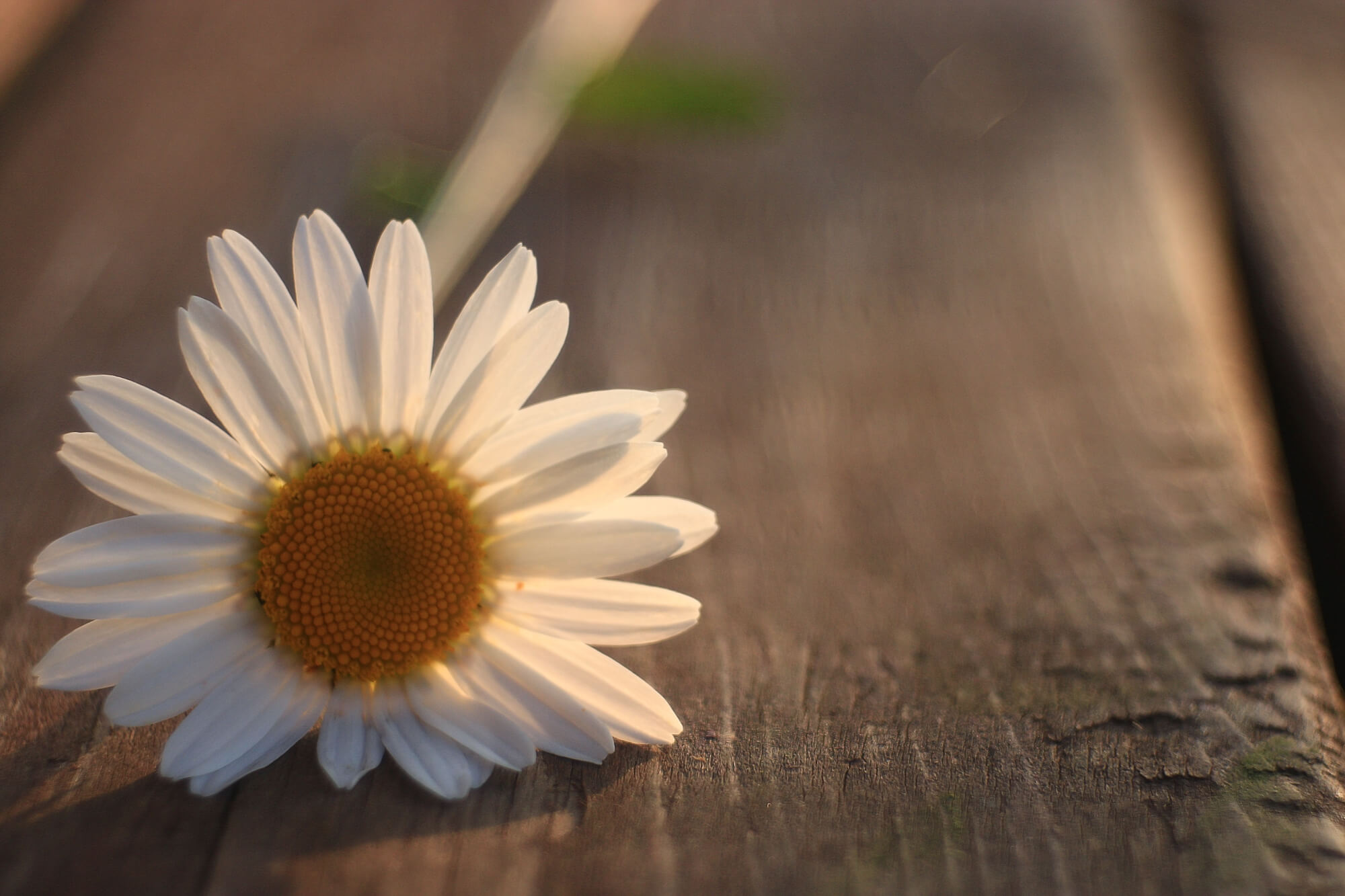 Therapeutic approaches may include: